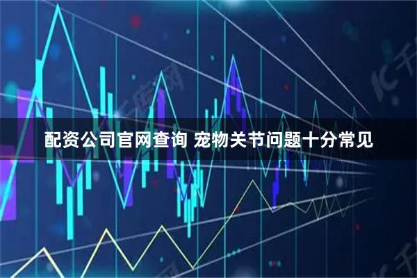 配资公司官网查询 宠物关节问题十分常见